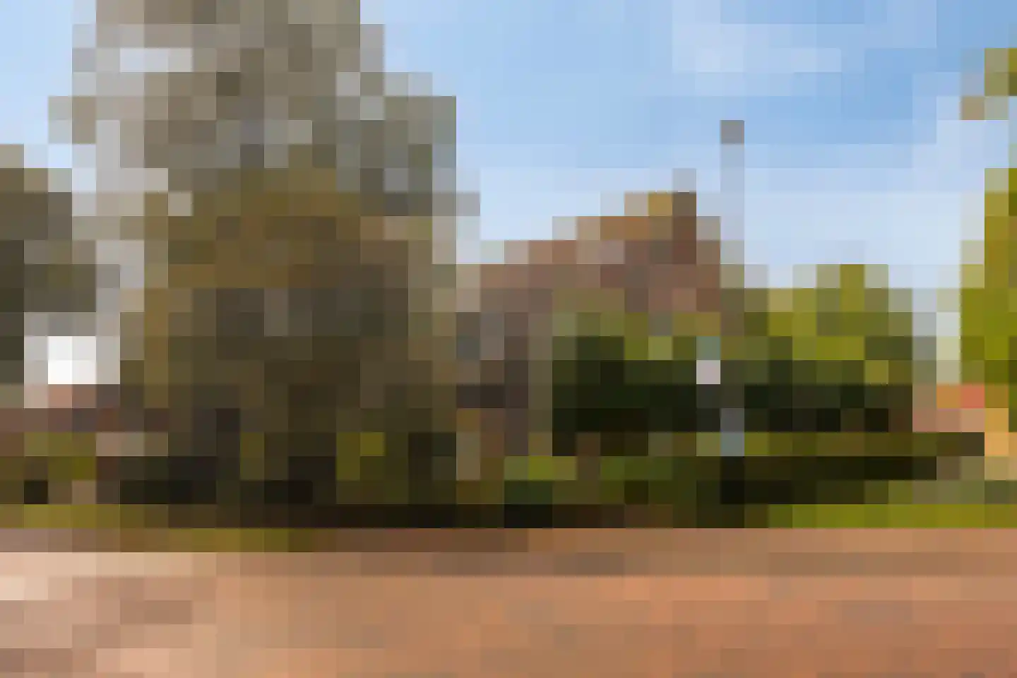 Wolfhezerweg 86 Wolfheze thumbnail 38