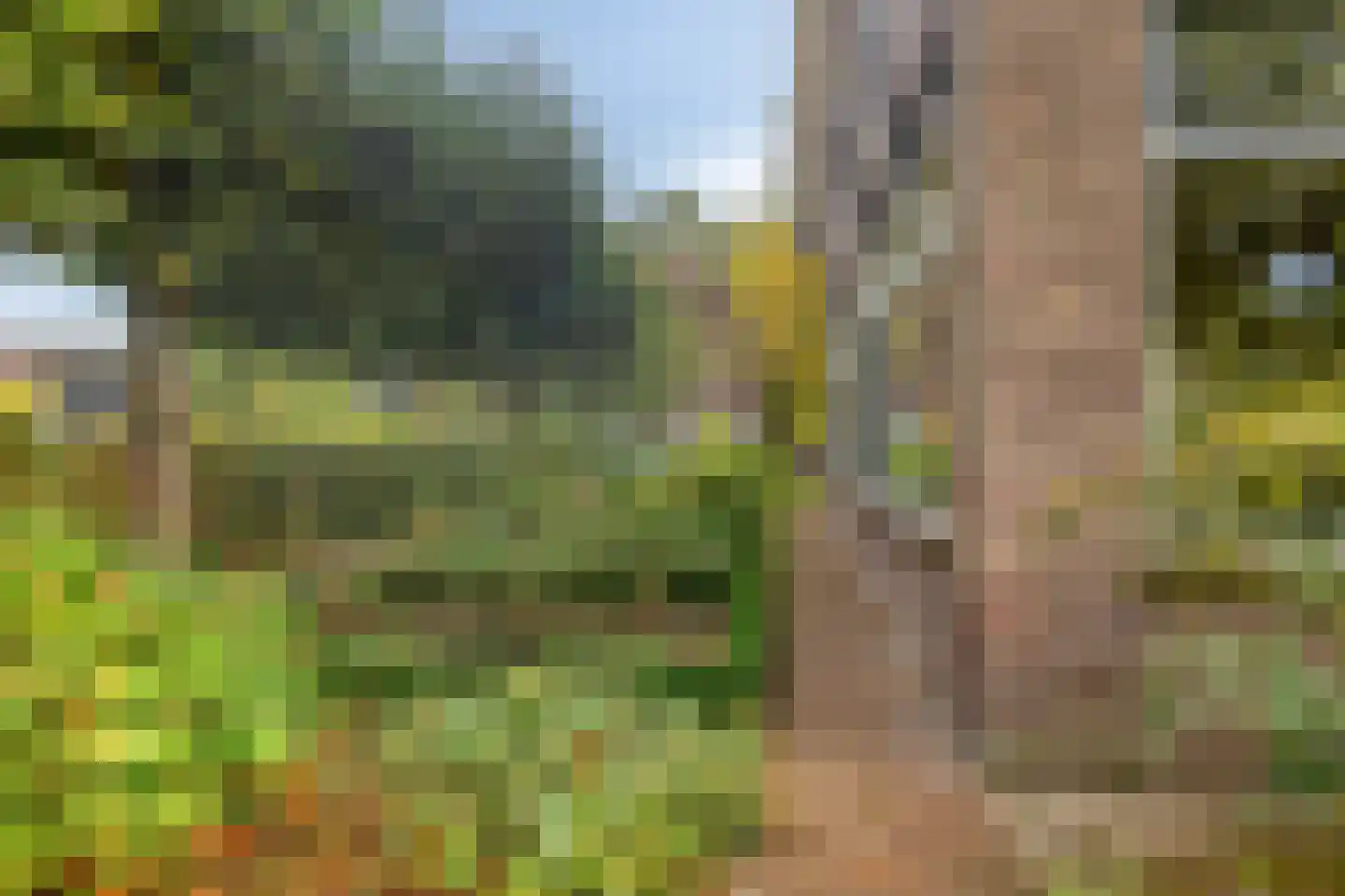 Wolfhezerweg 86 Wolfheze thumbnail 4