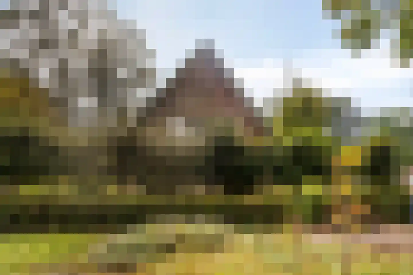 Wolfhezerweg 86 Wolfheze thumbnail 5