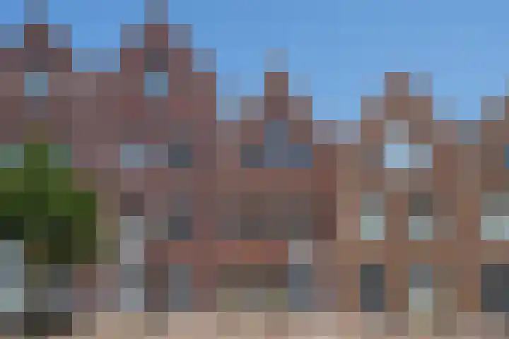 Wolfpad 9 Alkmaar