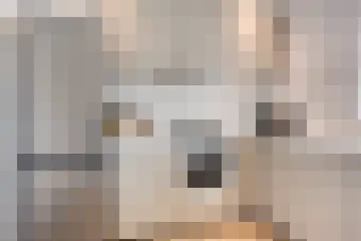 Wolframstraat 36 Apeldoorn thumbnail 10