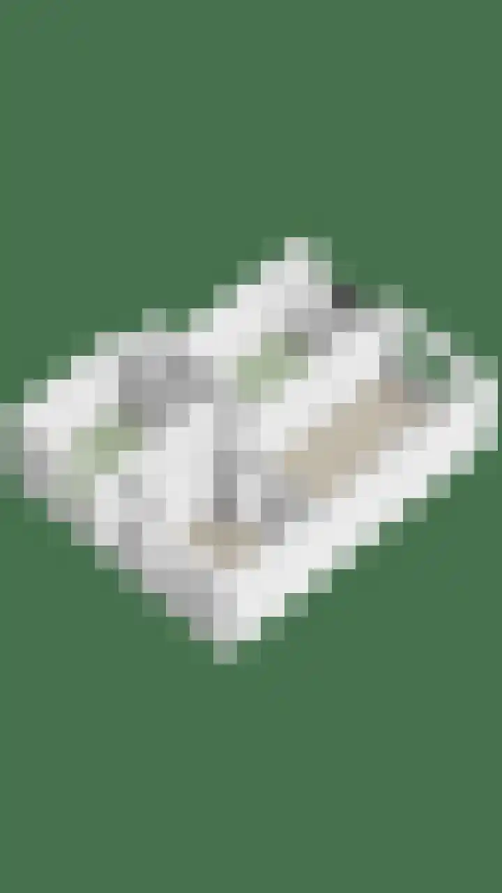 Wolframstraat 36 Apeldoorn thumbnail 27