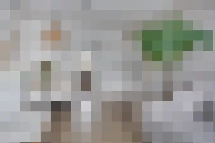 Wolframstraat 36 Apeldoorn thumbnail 8