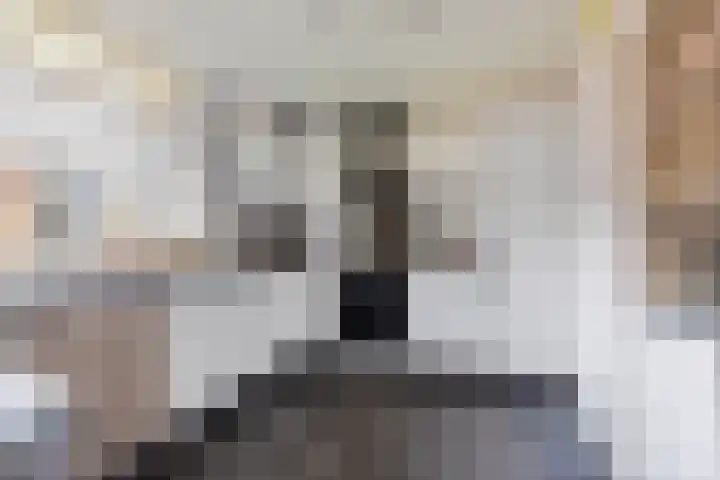 Wolframstraat 86 Apeldoorn thumbnail 7