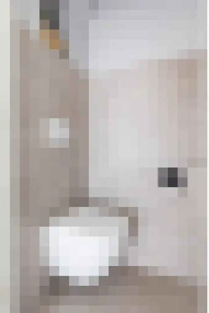 Wolframstraat 96 Apeldoorn thumbnail 17