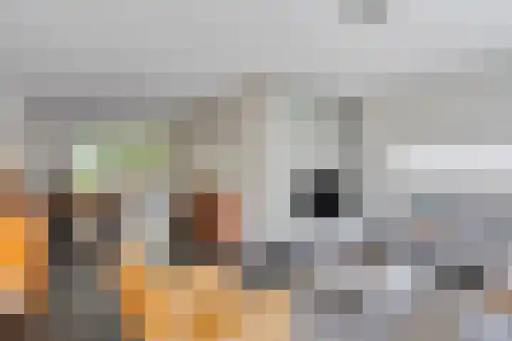 Wolfsberg 75 Asten thumbnail 12