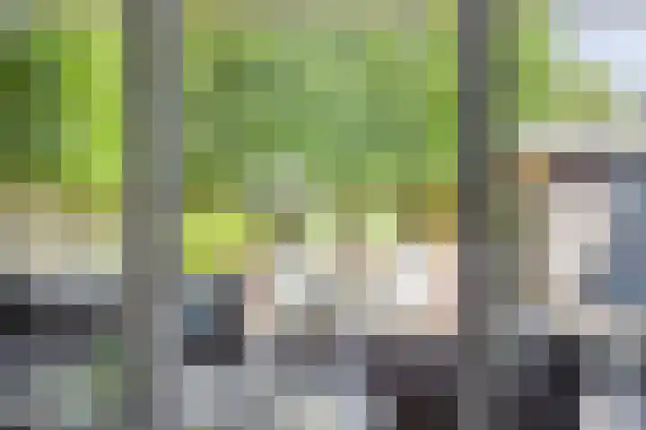 Wolfsberg 75 Asten thumbnail 35