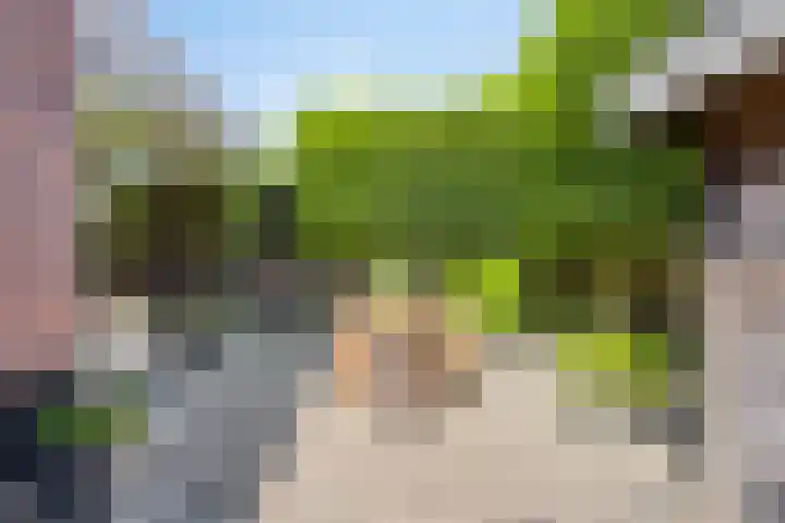 Wolfsberg 75 Asten thumbnail 40