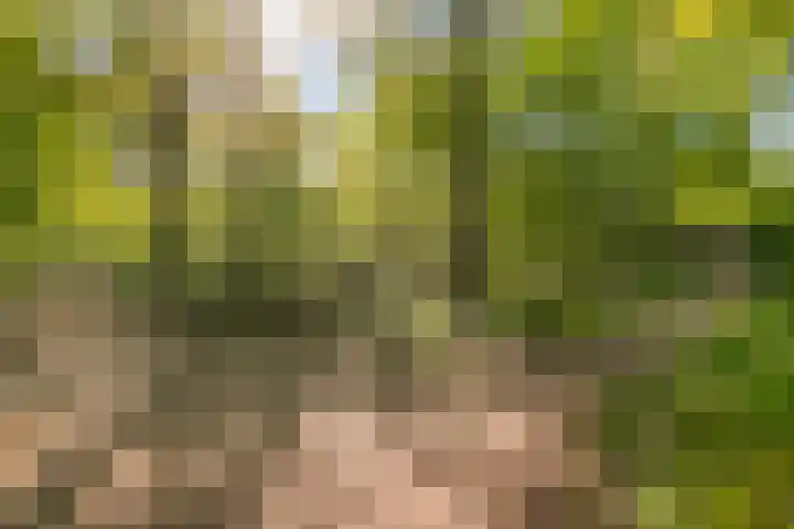 Wolfsberg 75 Asten thumbnail 47