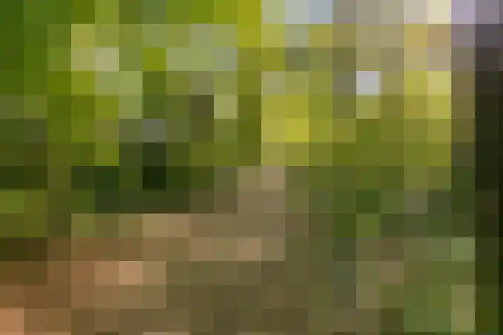 Wolfsberg 75 Asten thumbnail 48
