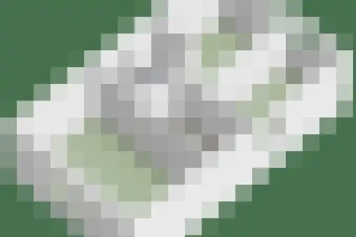 Wolfsberg 75 Asten thumbnail 52