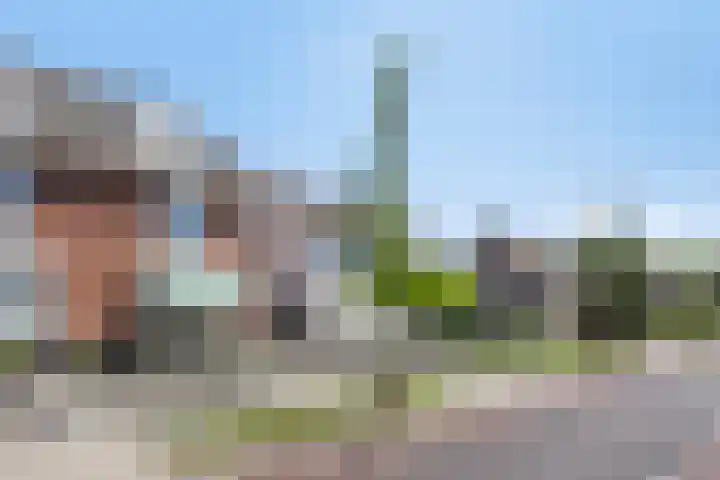 Wolfsberg 75 Asten thumbnail 6