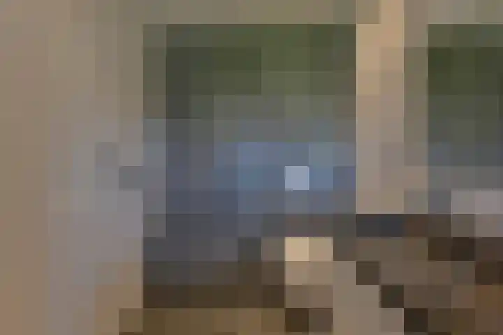 Wolfsbergenweg 23 Emmen thumbnail 33