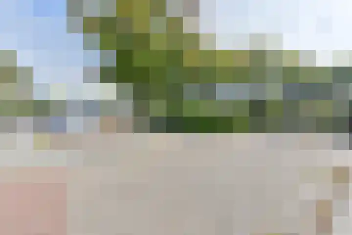 Wolfsbergenweg 23 Emmen thumbnail 59