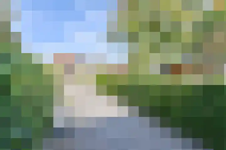 Wolfsbergenweg 23 Emmen thumbnail 61