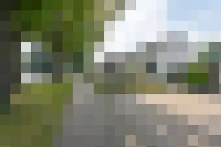 Wolfsbergenweg 23 Emmen thumbnail 77