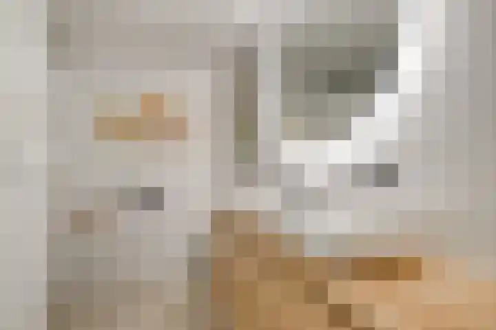 Wolfsbossingel 111 Beuningen Gld thumbnail 27
