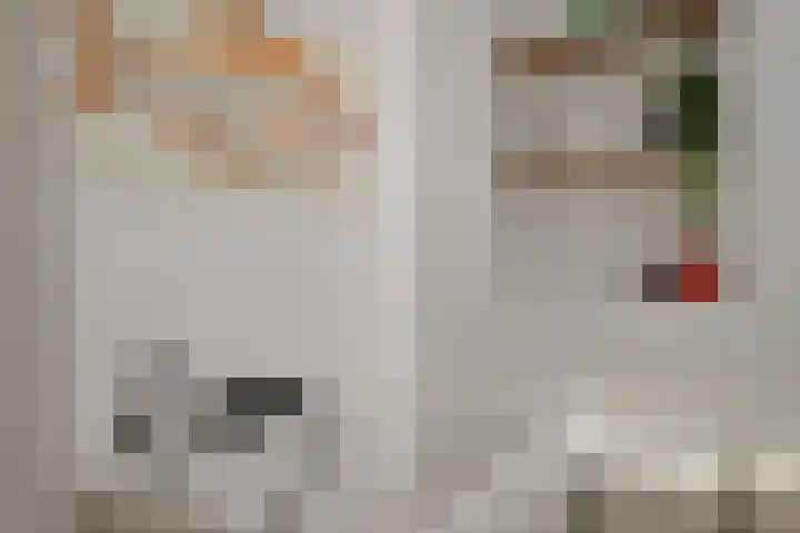 Wolfsbossingel 111 Beuningen Gld thumbnail 29