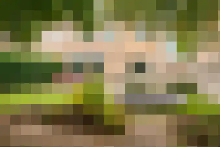 Wolfsbossingel 111 Beuningen Gld thumbnail 40