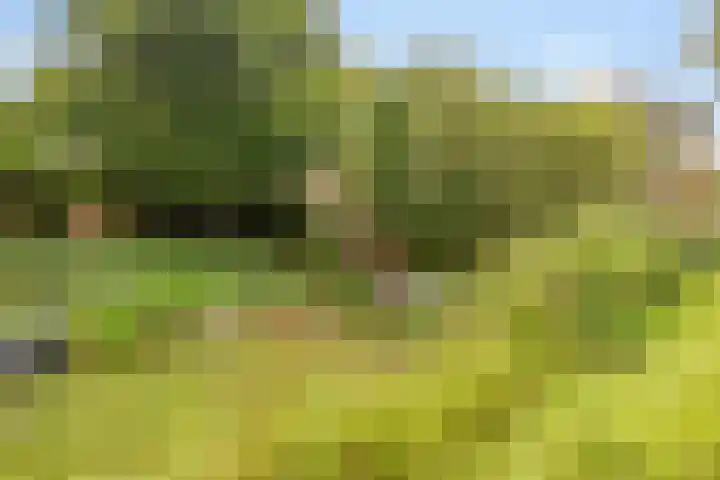 Wolfsbossingel 111 Beuningen Gld thumbnail 43
