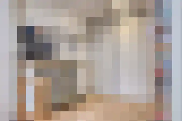 Wolfsbossingel 111 Beuningen Gld thumbnail 45