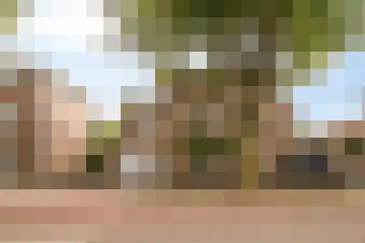 Wolfsbossingel 111 Beuningen Gld thumbnail 46