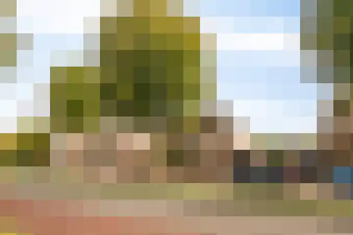 Wolfsbossingel 111 Beuningen Gld thumbnail 47