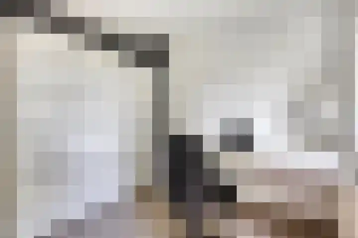 Wolfsbossingel 33 Beuningen Gld thumbnail 17
