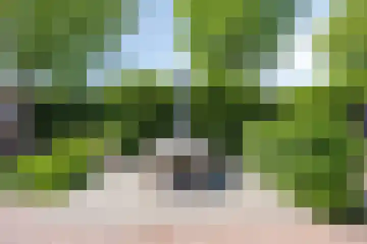 Wolfsbossingel 33 Beuningen Gld thumbnail 29