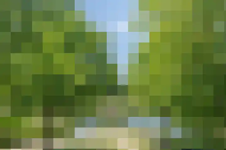 Wolfsbossingel 33 Beuningen Gld thumbnail 35