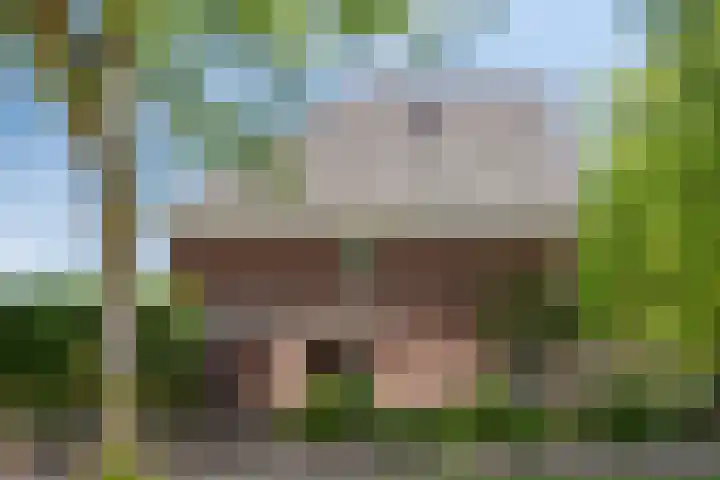 Wolfsbossingel 33 Beuningen Gld thumbnail 40