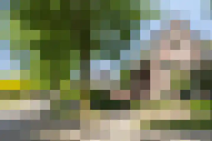 Wolfsbossingel 33 Beuningen Gld thumbnail 42