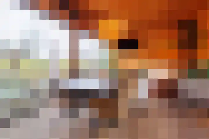 Wolfsbossingel 48 Beuningen Gld thumbnail 24