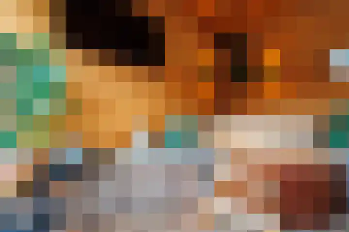 Wolfsbossingel 48 Beuningen Gld thumbnail 27