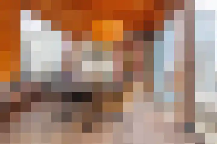 Wolfsbossingel 48 Beuningen Gld thumbnail 29