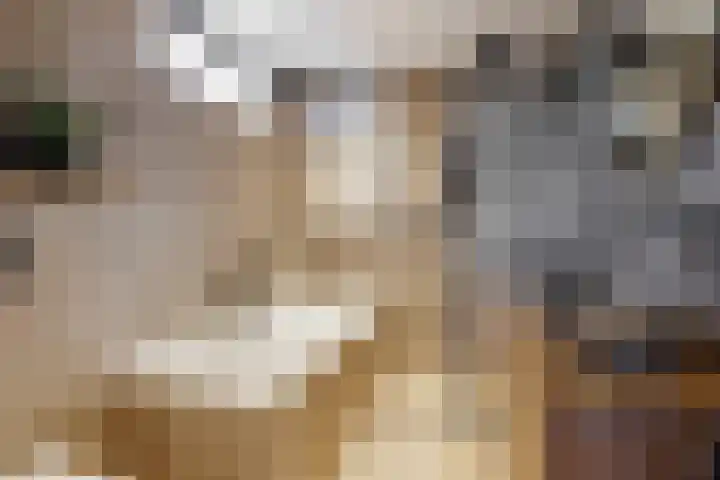 Wolfsbossingel 48 Beuningen Gld thumbnail 37