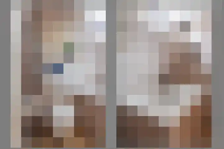 Wolfsbossingel 48 Beuningen Gld thumbnail 38