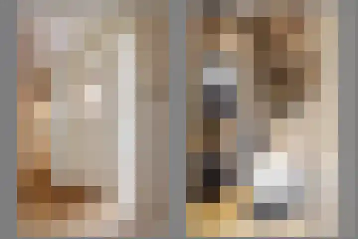 Wolfsbossingel 48 Beuningen Gld thumbnail 4