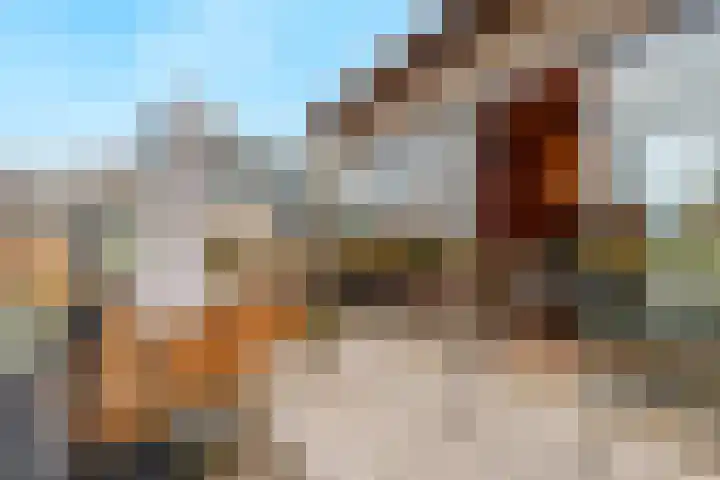 Wolfsbossingel 48 Beuningen Gld thumbnail 52