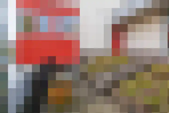 Wolfsbossingel 48 Beuningen Gld thumbnail 63