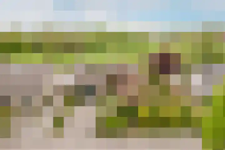 Wolfsdonk 23 en Chaam