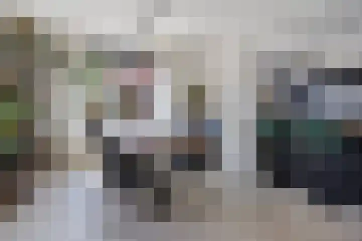 Wolfsheining 4 Rijsbergen thumbnail 12