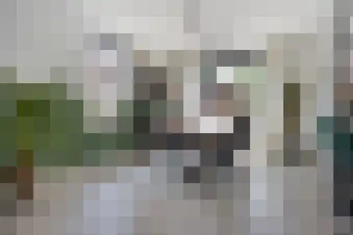 Wolfsheining 4 Rijsbergen thumbnail 18
