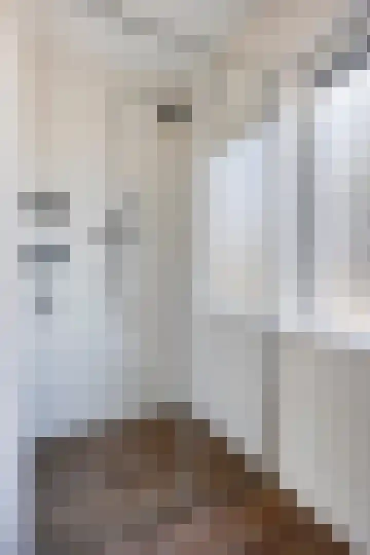 Wolfsheining 4 Rijsbergen thumbnail 28