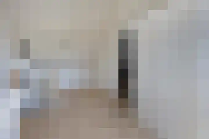 Wolfsheining 4 Rijsbergen thumbnail 30