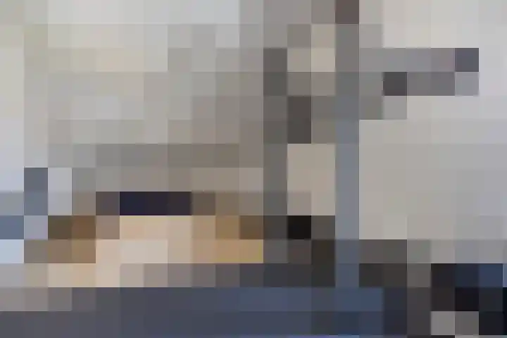 Wolfsheining 4 Rijsbergen thumbnail 32