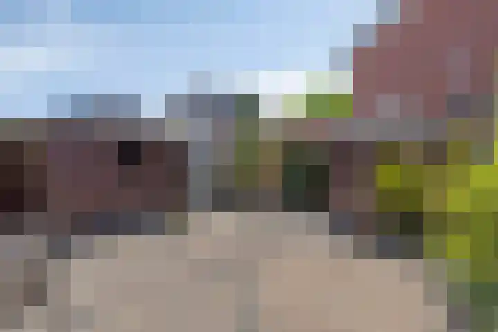 Wolfsheining 4 Rijsbergen thumbnail 35