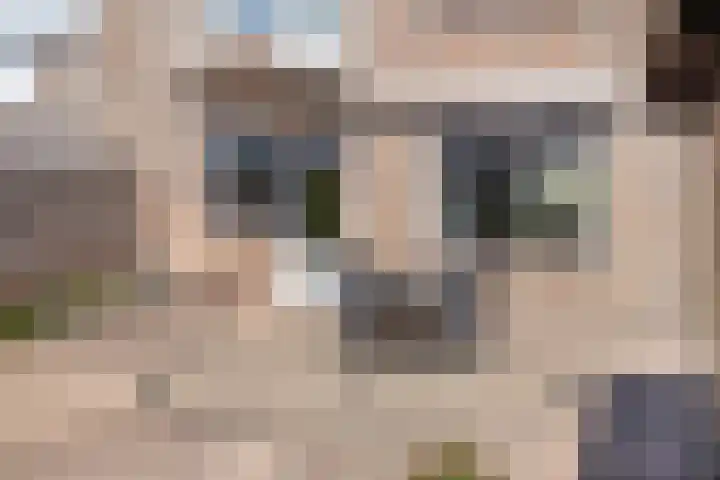 Wolfsheining 4 Rijsbergen thumbnail 37