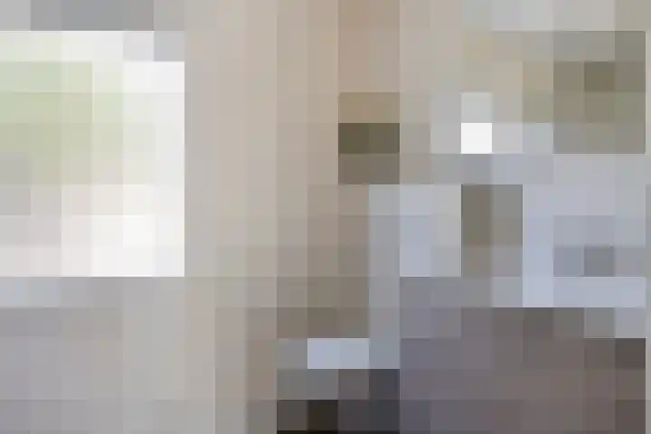 Wolfsheining 4 Rijsbergen thumbnail 4
