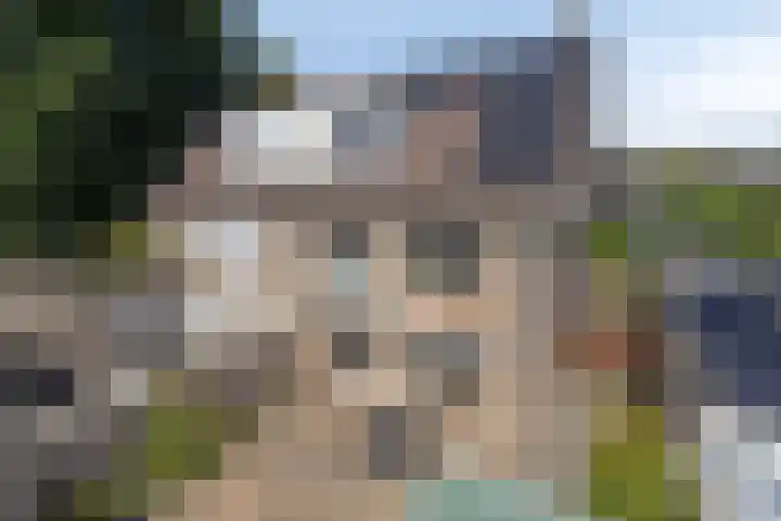 Wolfsheining 4 Rijsbergen thumbnail 40